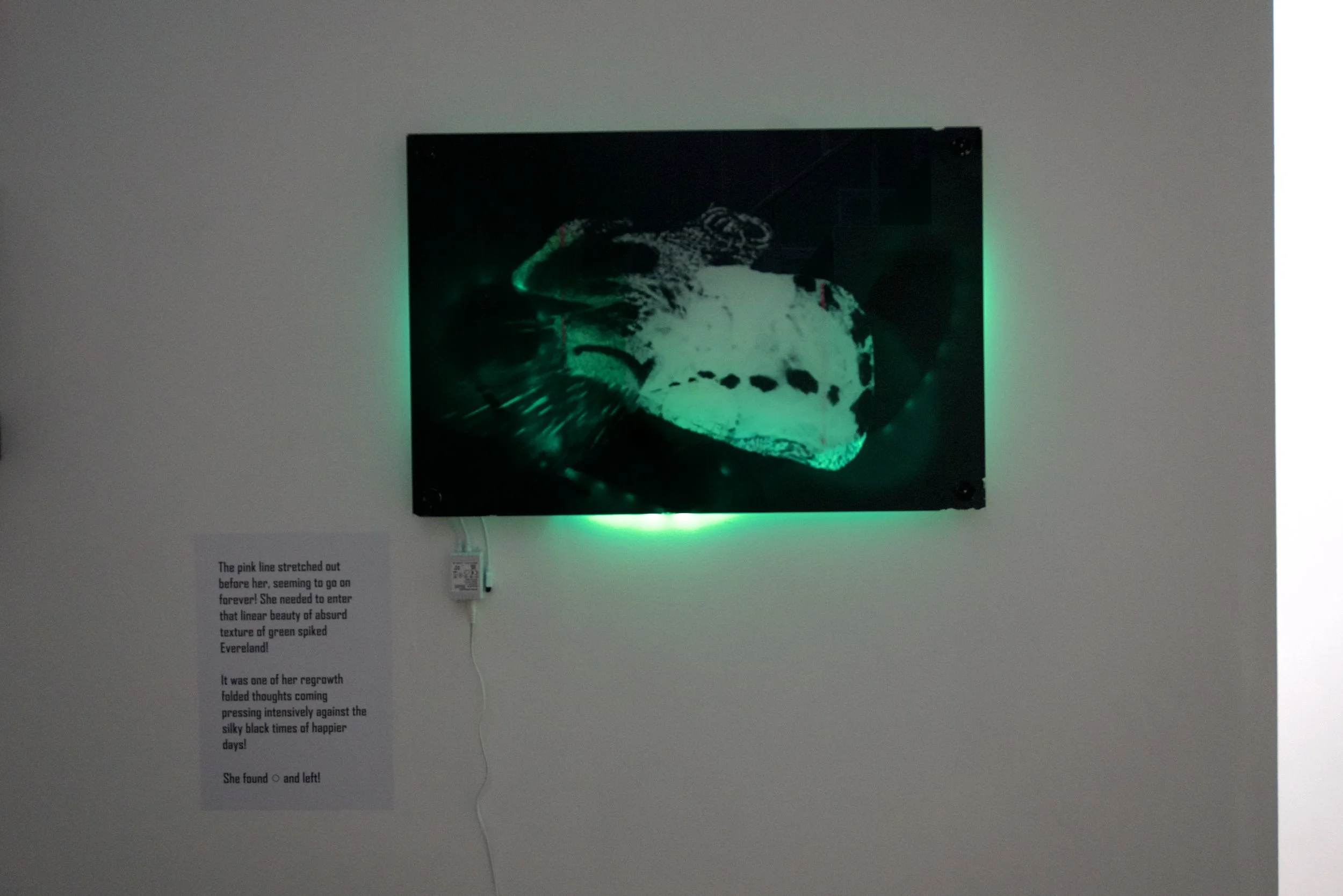 DSC01301.jpeg