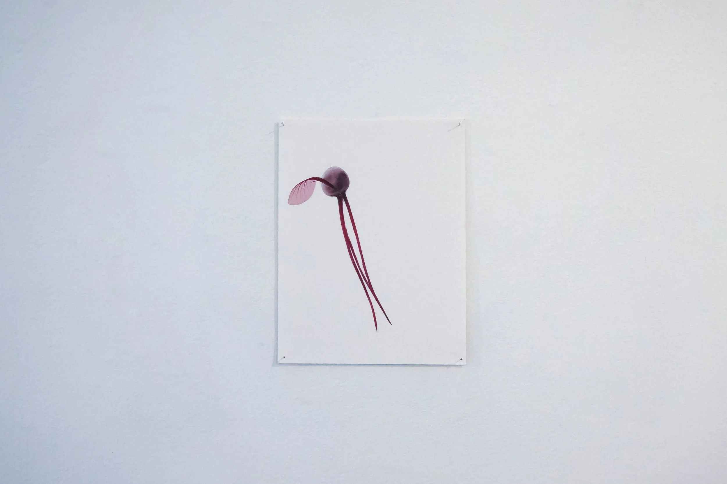 Score-The Linenhall-Castlebar-Mar2013-36.jpg