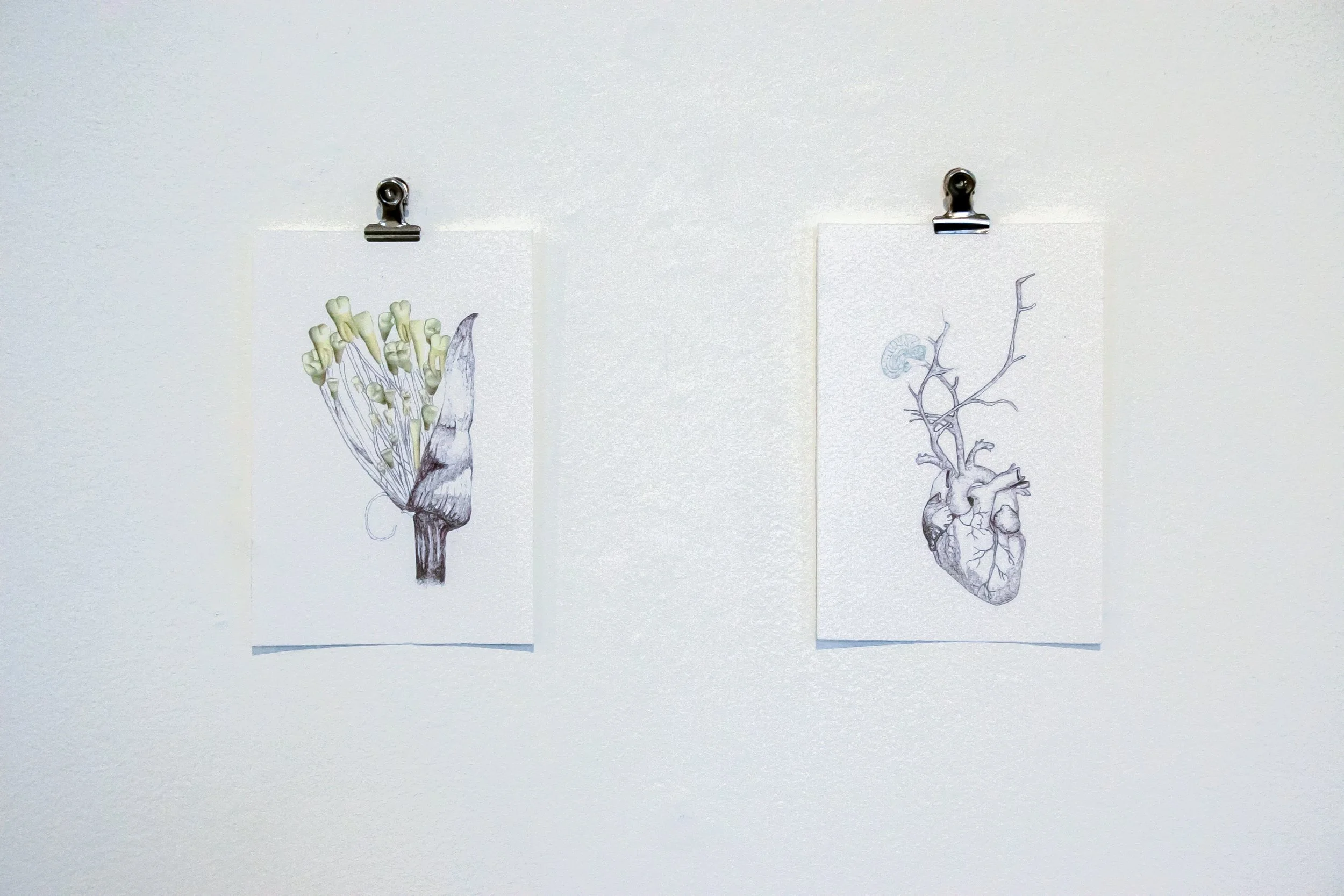 Score-The Linenhall-Castlebar-Mar2013-65.jpg