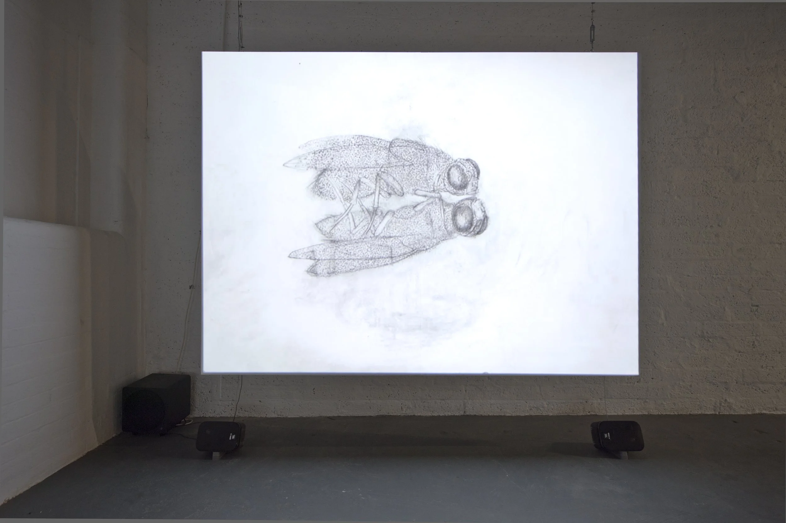 9.Alice Maher,The Music of Things.jpg