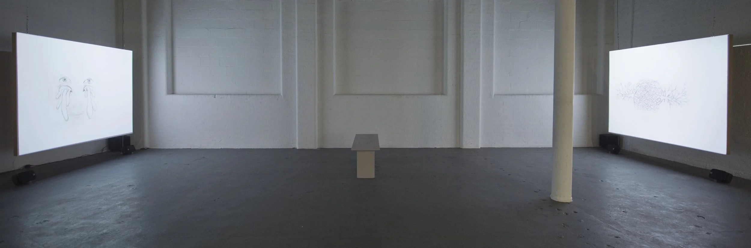 11.Alice Maher,The Music of Things.jpg