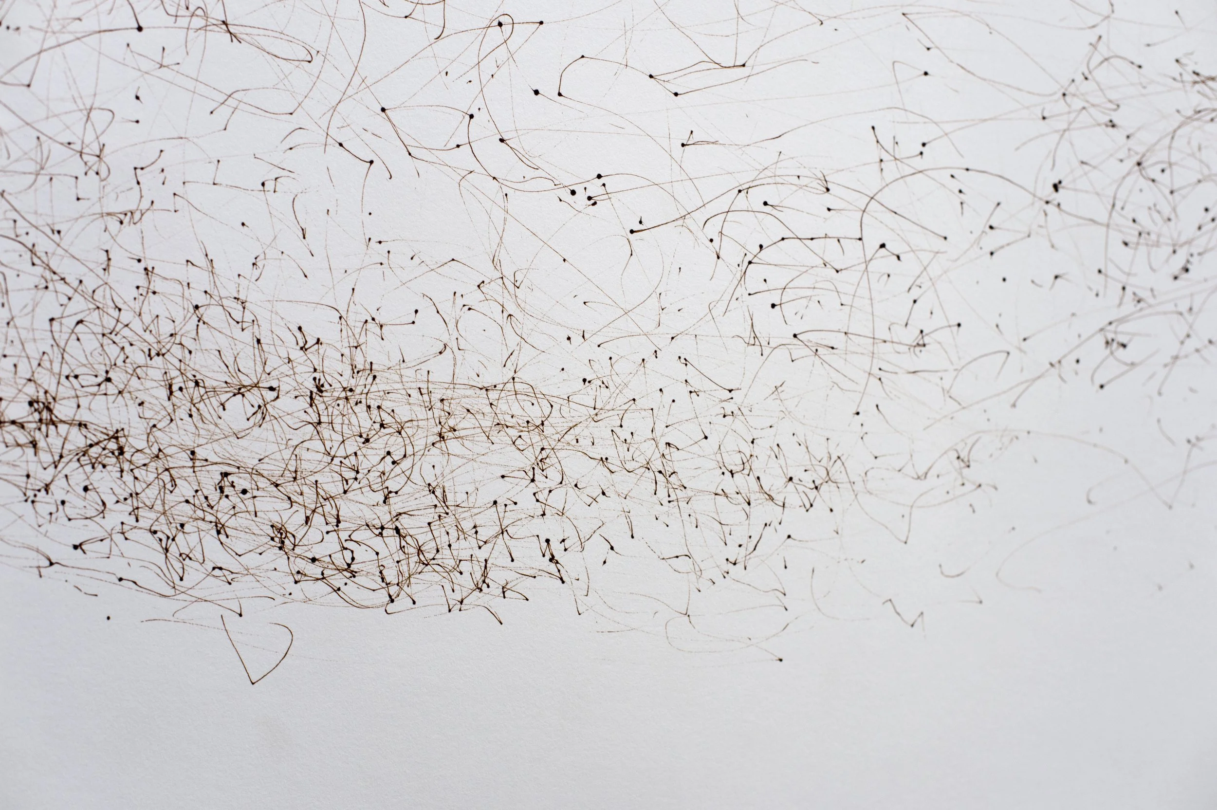 39.Tim Knowles, Acer.jpg