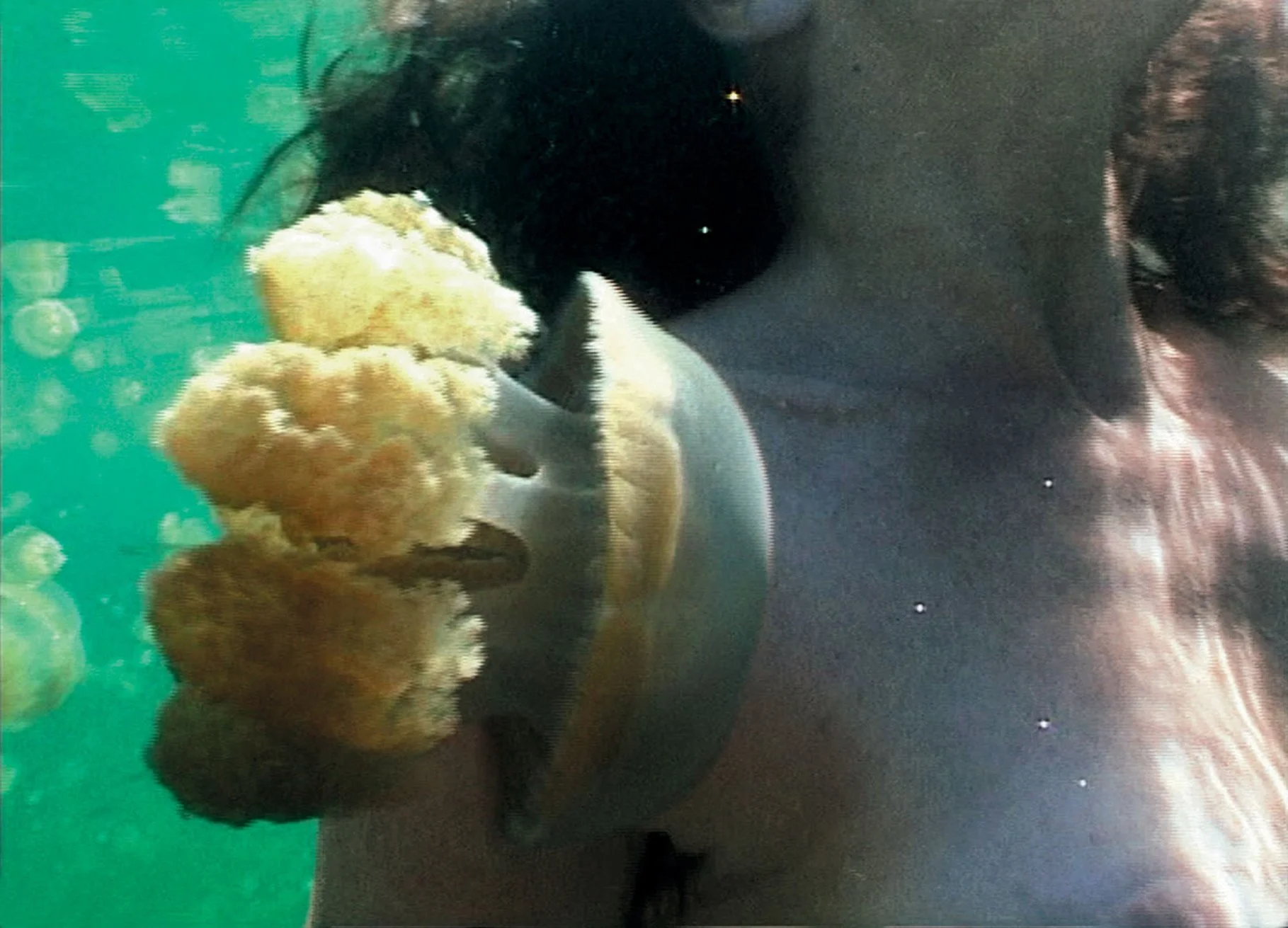 18_3 postcard for print.jpg