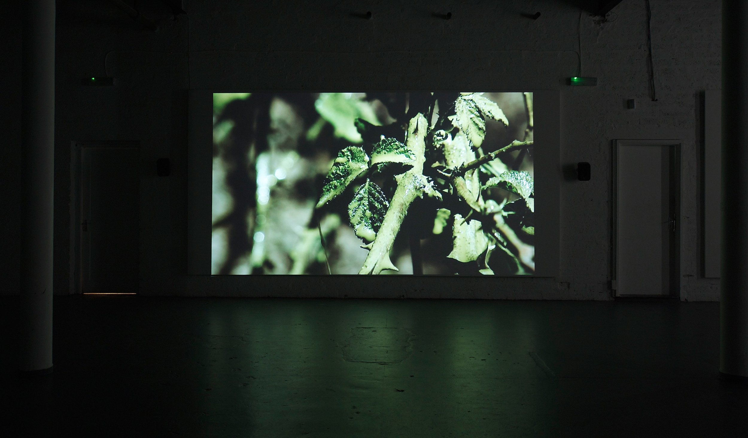 Florian Pugnaire & David Raffini6.jpg