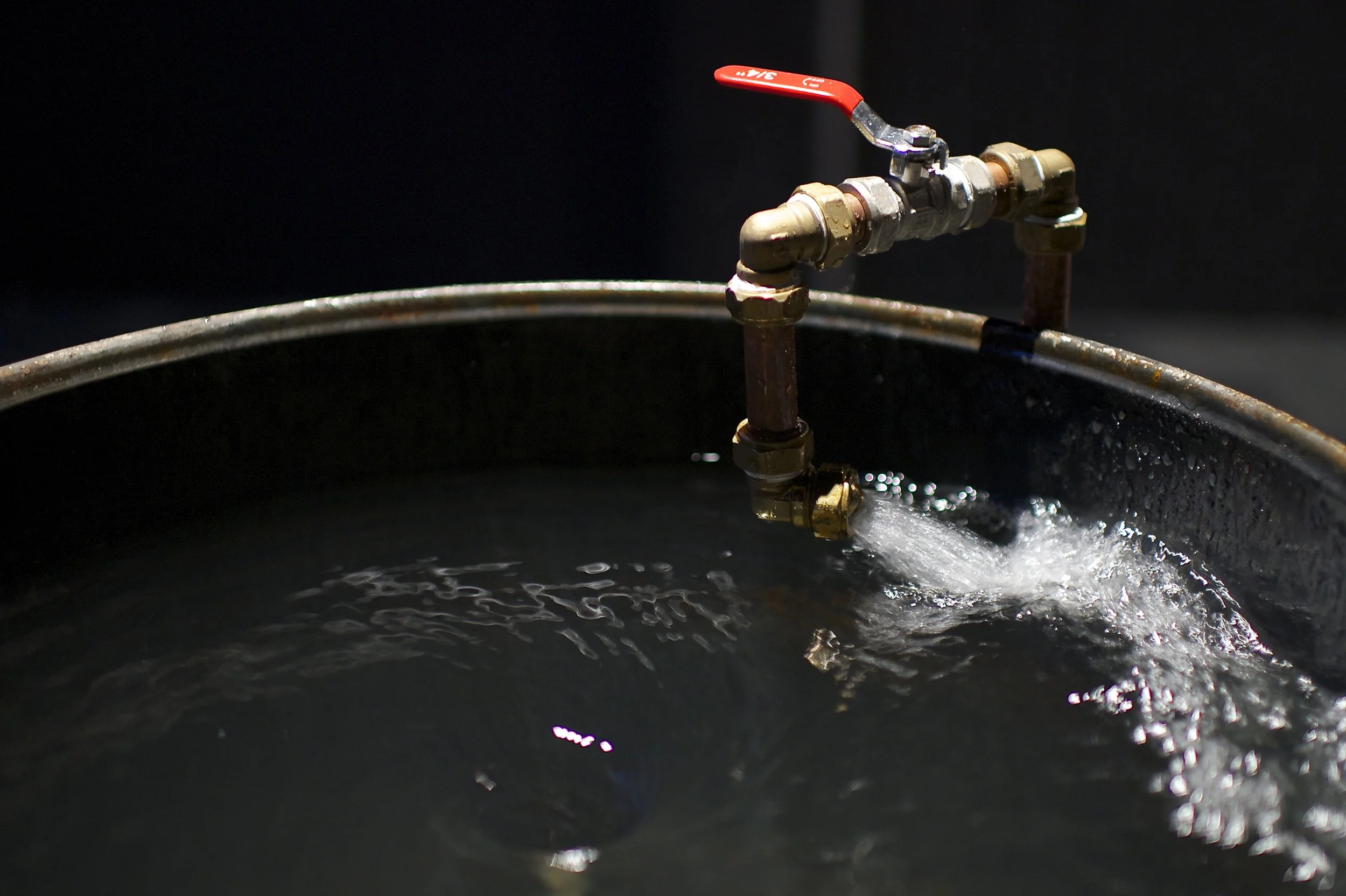 Andrew Shannon, Parasite, 2012.jpg