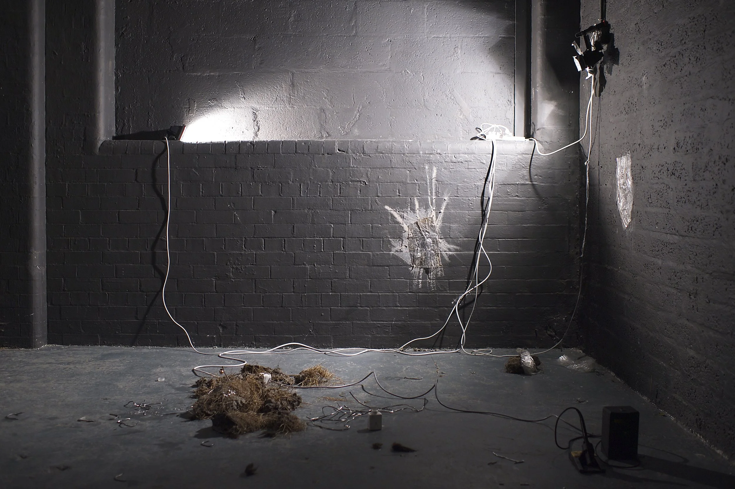 Debbie Guinnane, Encounter, 2012 (3).jpg