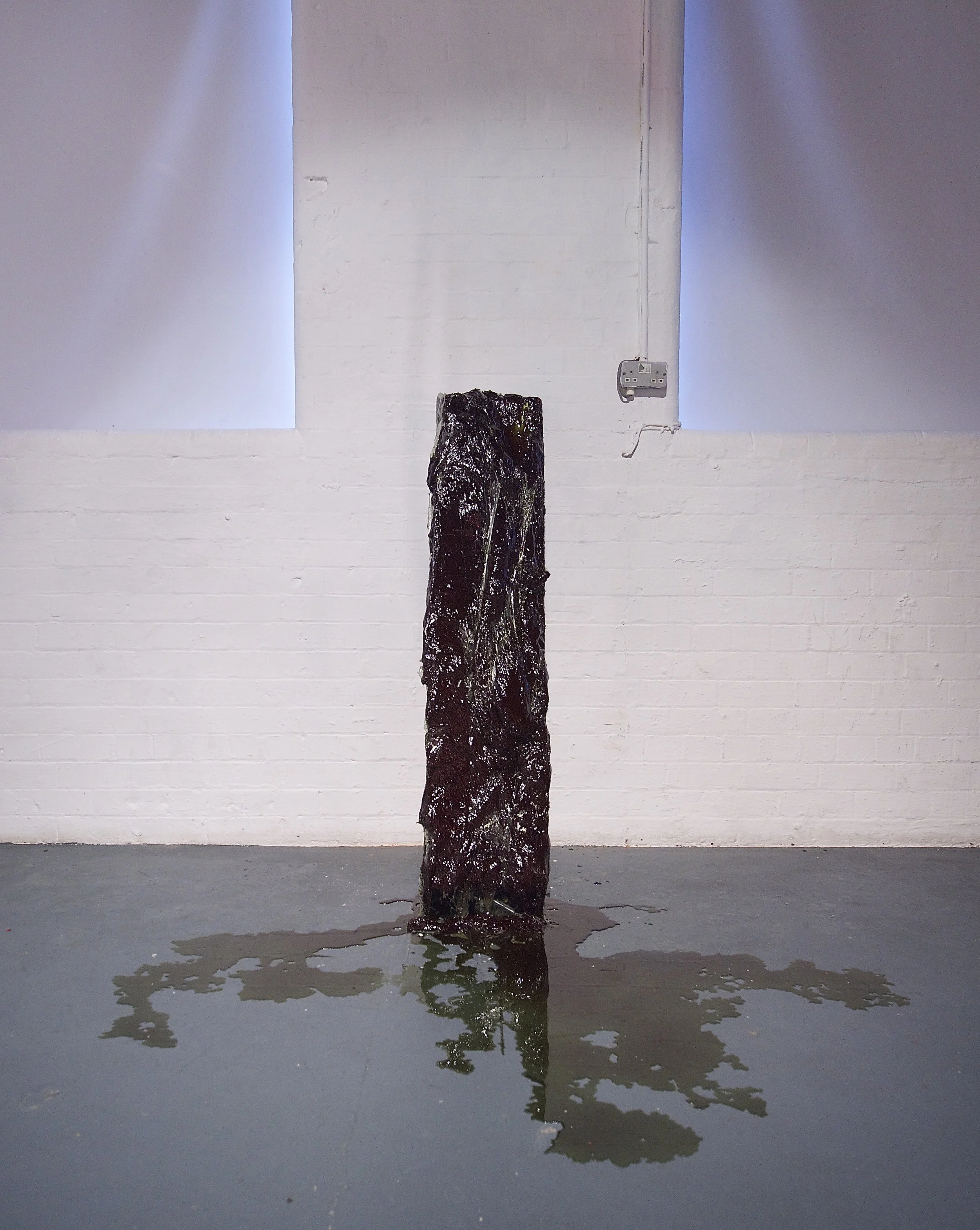 Sarah Doherty, Future Monument, 2012 (3).jpg