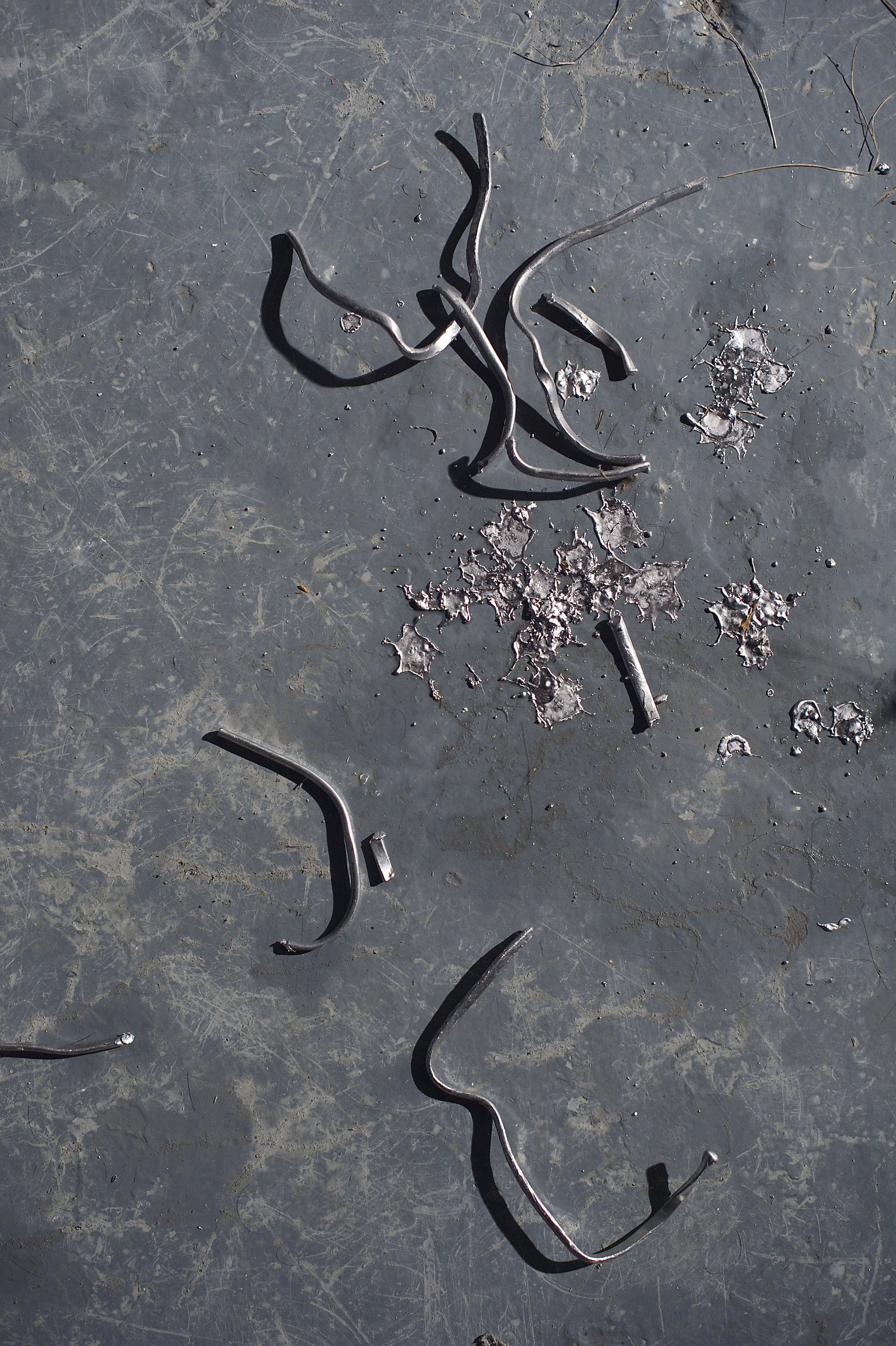 Debbie Guinnane  Encounter, 2012 (2).jpg