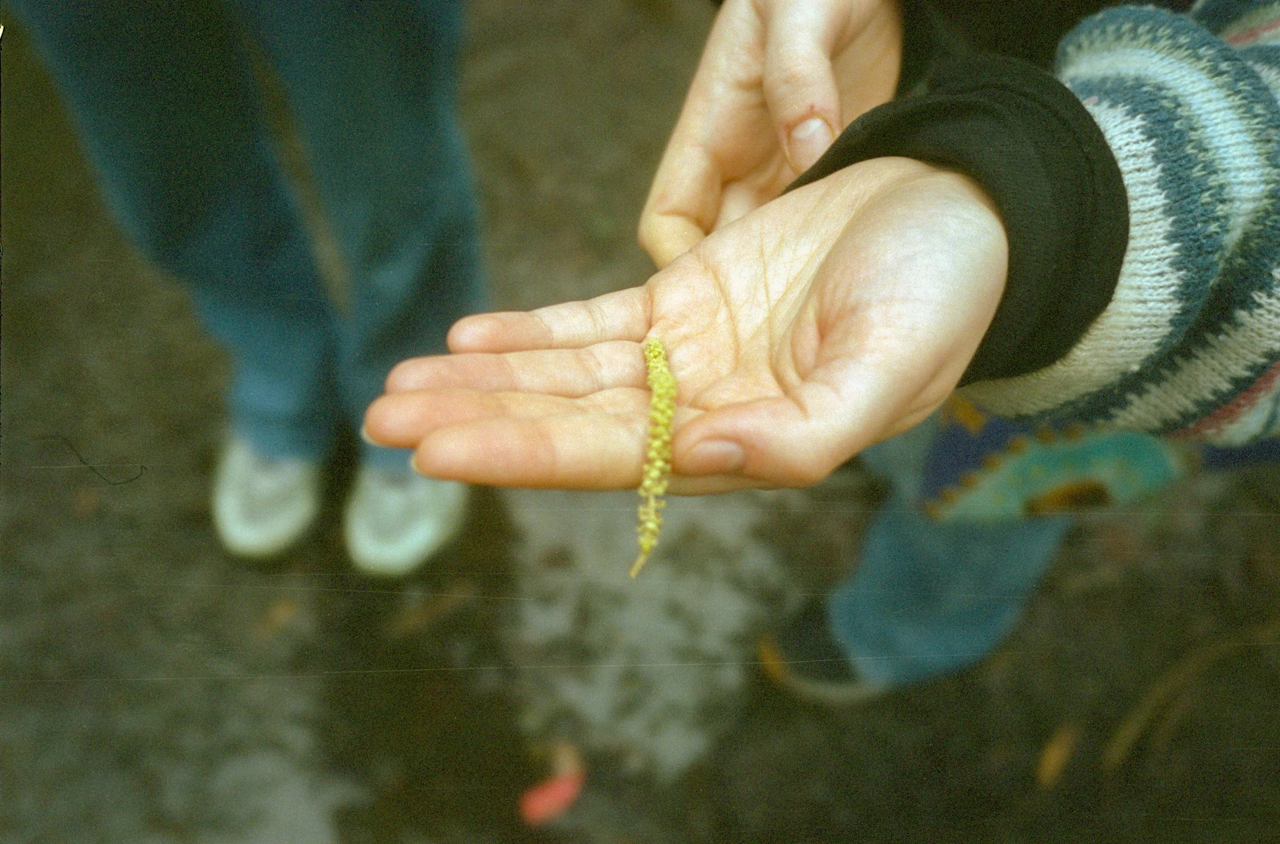 web 9.jpg