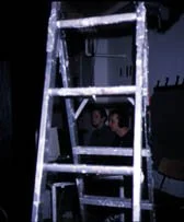 needlesladder.jpg