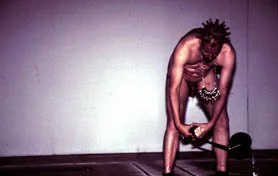 curiousfuxperform.jpg