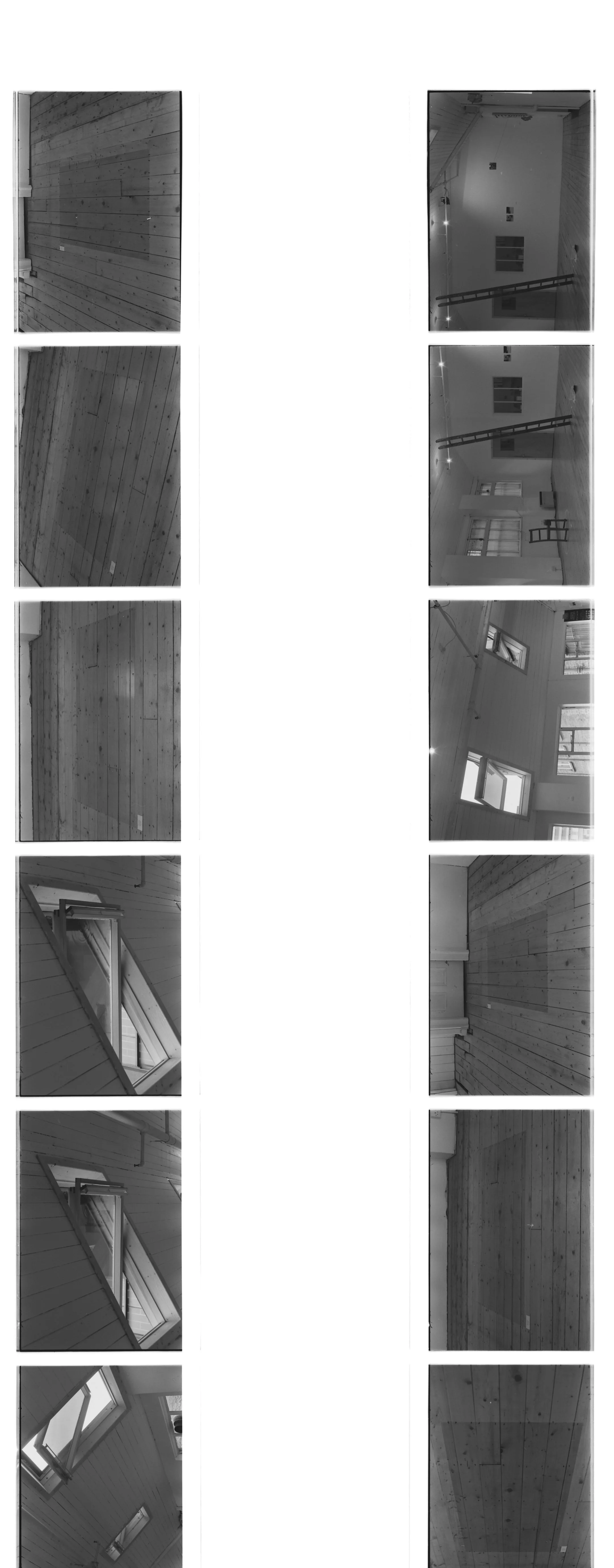 B&W negatives instal3.jpg