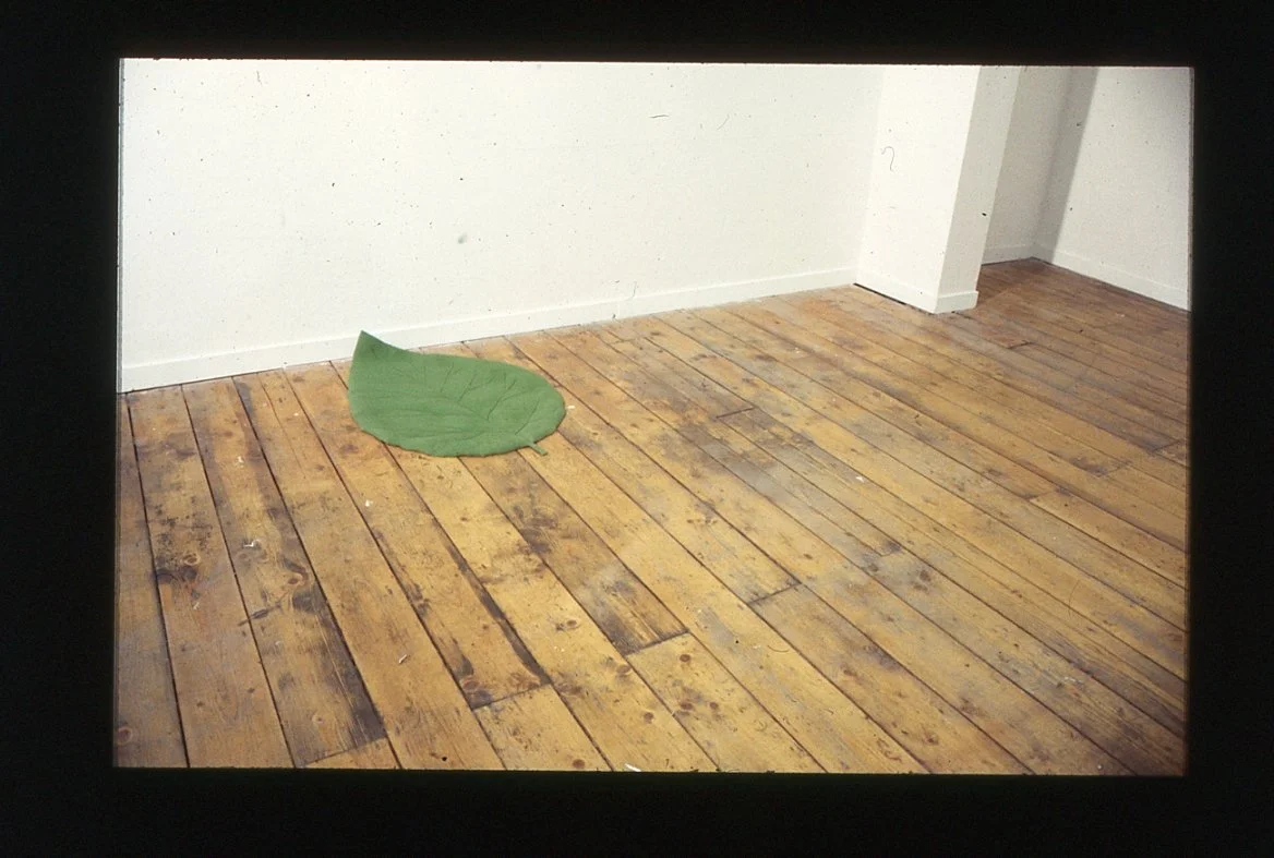 david shrigley009.jpg