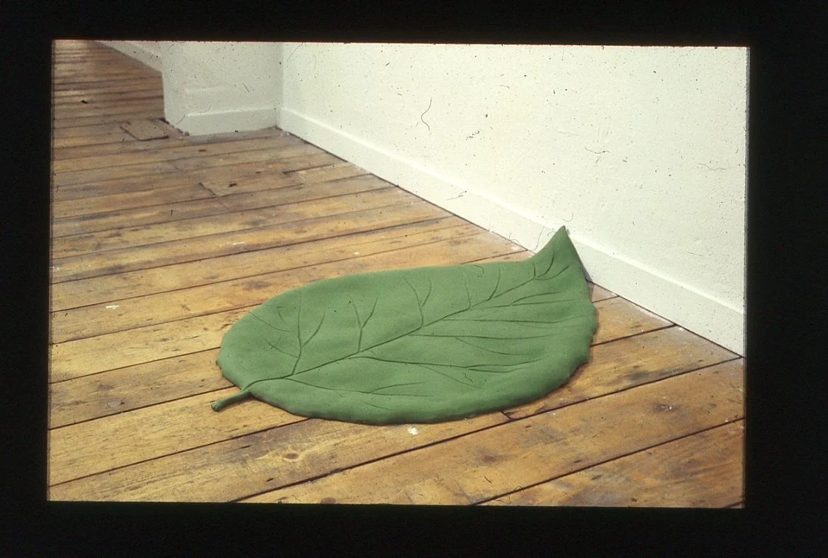 david shrigley005.jpg