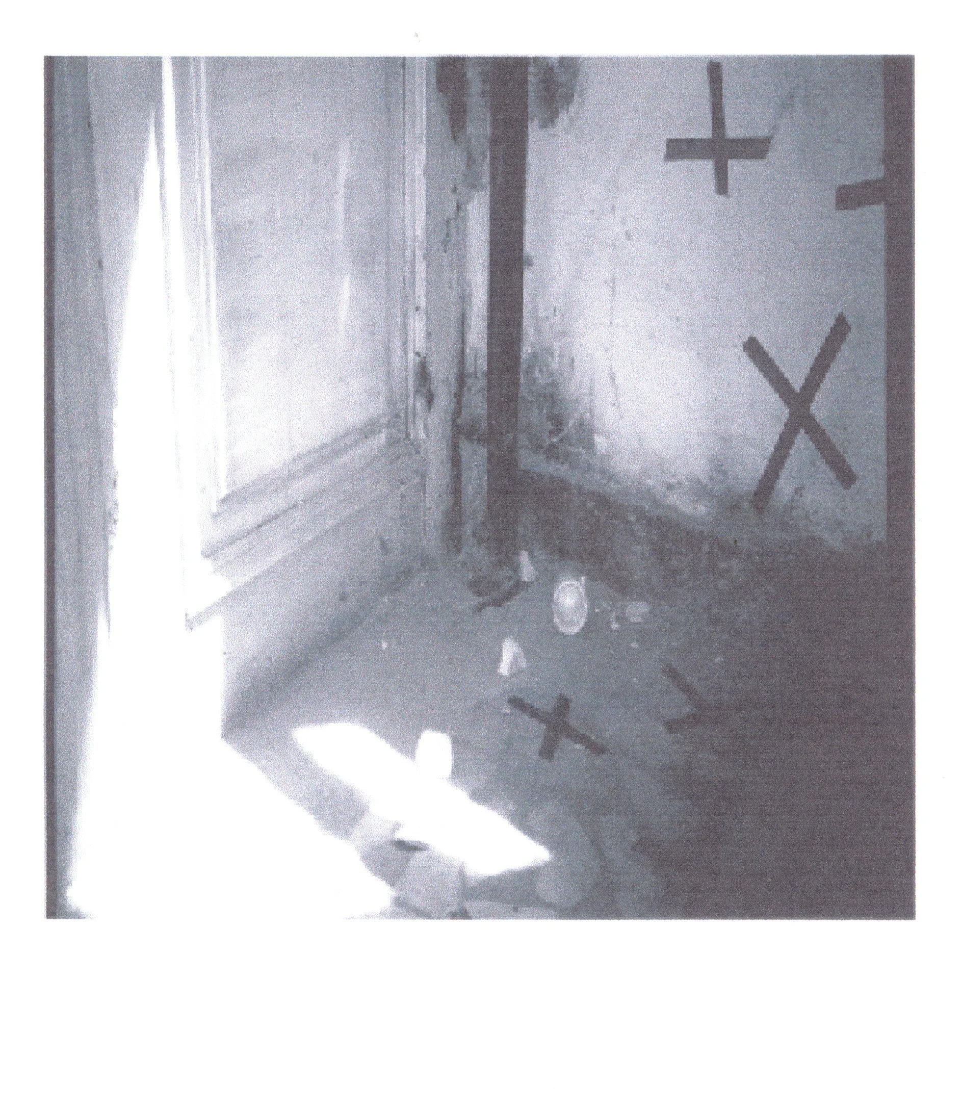 POST ACTION ROMANIA.jpg