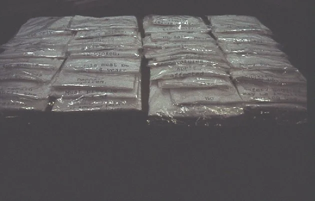 T.BanfordFix2002 copy.jpg