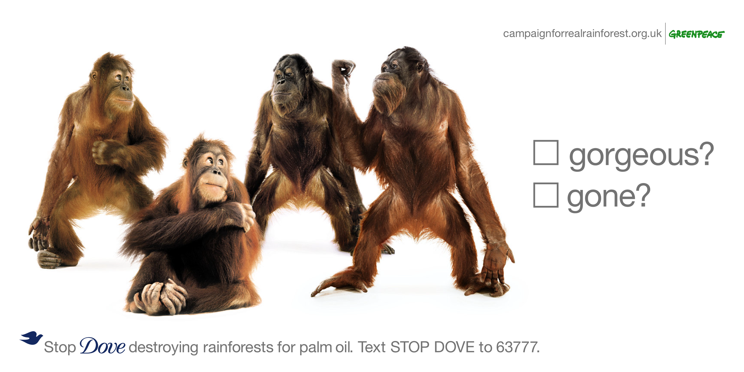 orangutan.png