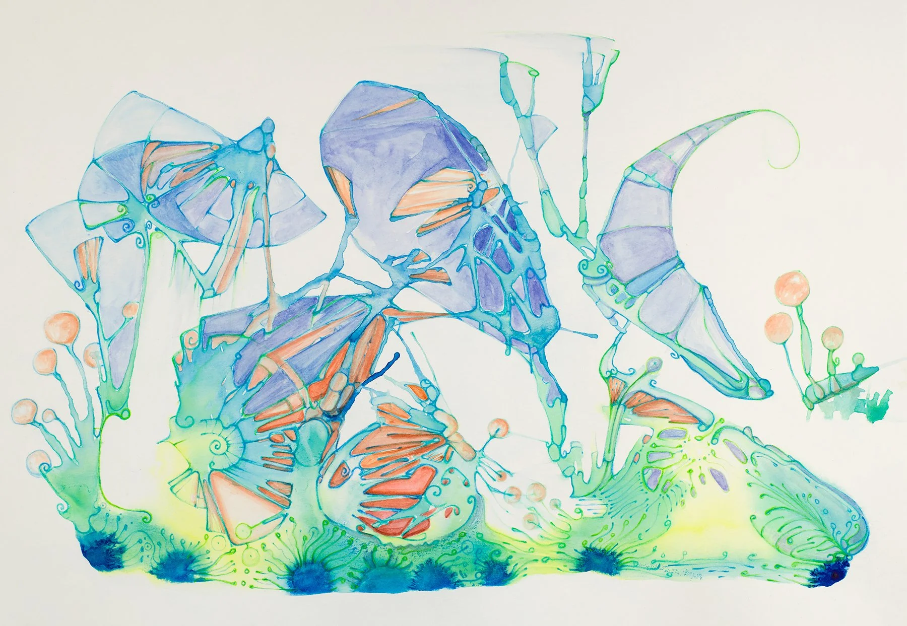 Coconut-and-the-Butterfly-Pea-Flower.jpg