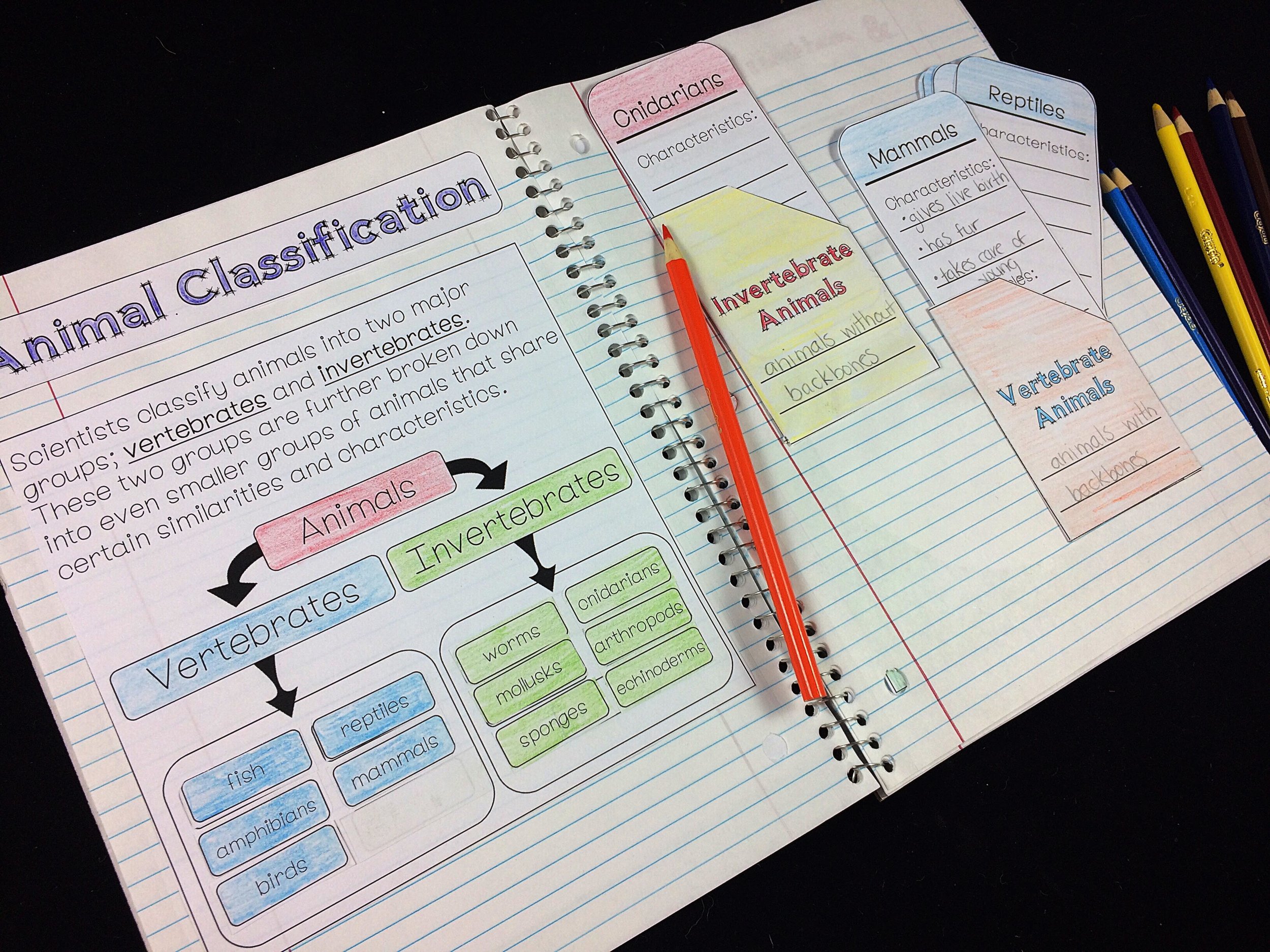 Printable Interactive Notebook Pages Free