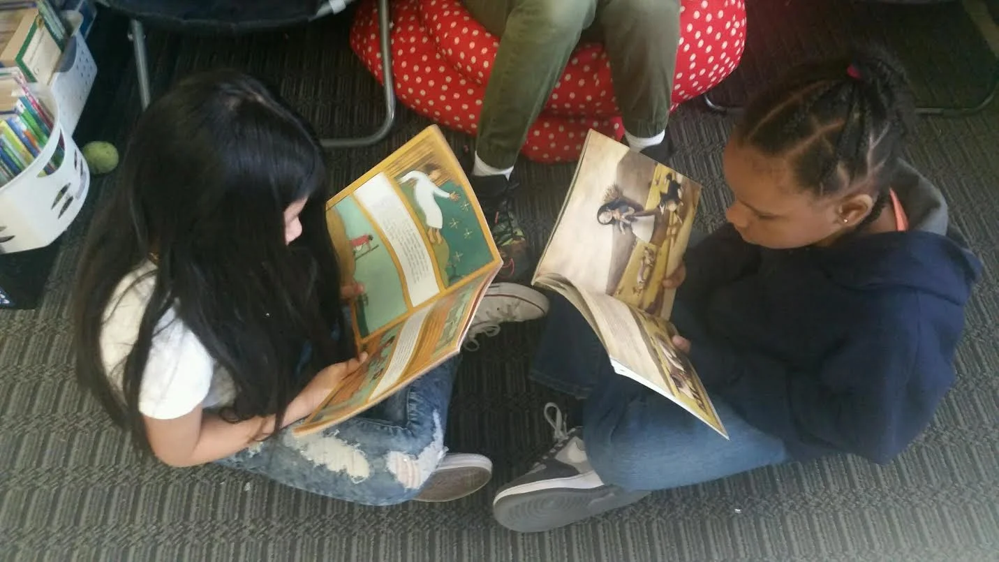 Reading partnerships are another way to offer choice in your classroom. These reading partnerships allows students to choose books that are interesting to them.