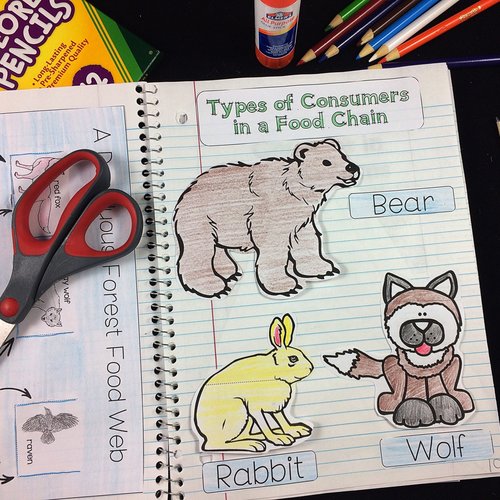 Animal-Saving Notebooks : kids drawing notebook