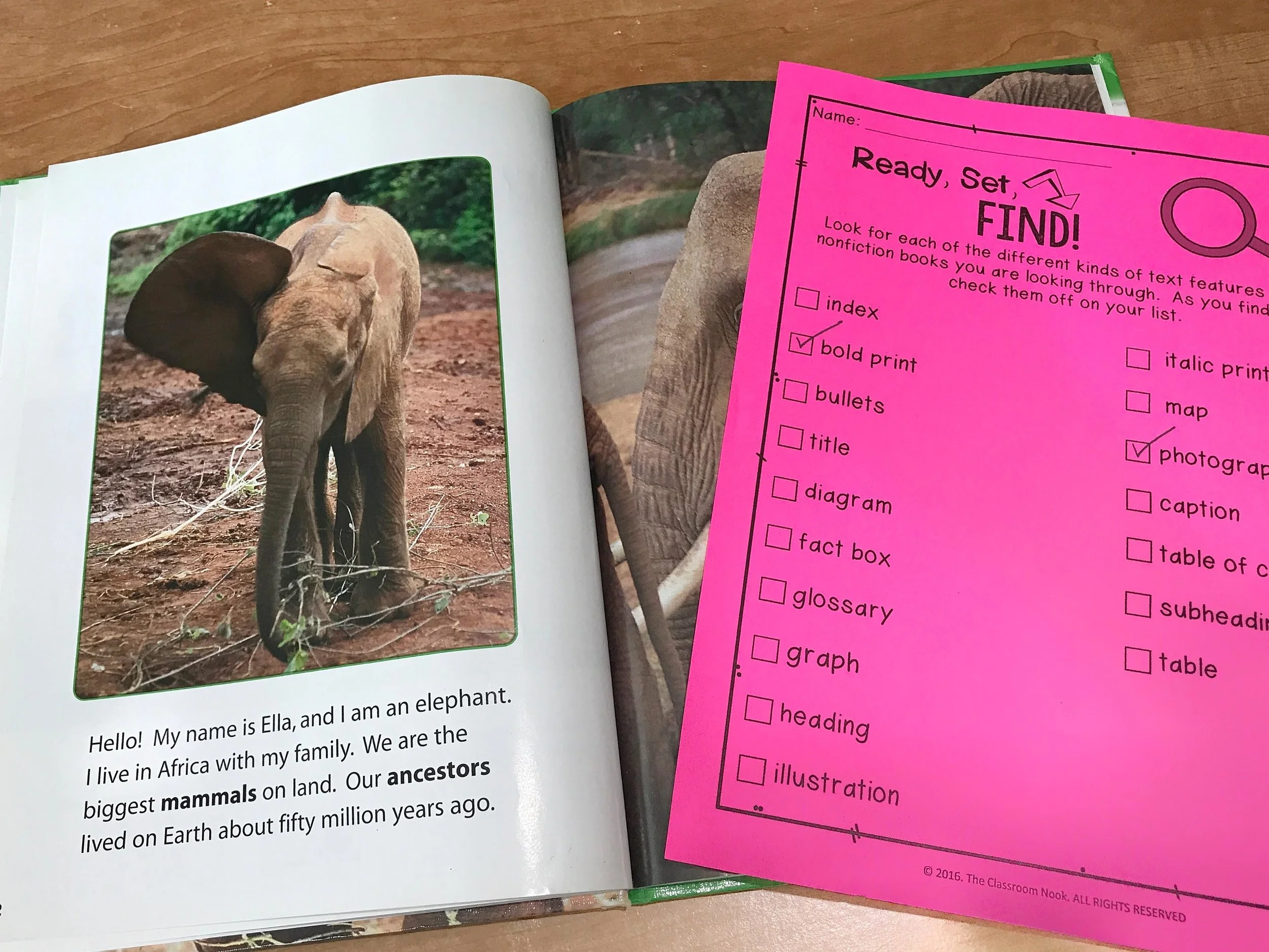 When I introduce nonfiction text features, my first goal is to just get student to actually SEE and NOTICE these text features in their books. I send them on a text feature scavenger hunt!