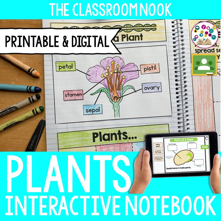 Plants-interactive-notebook.PNG