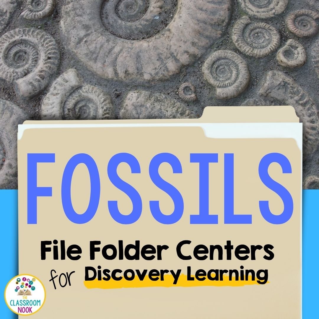 Science File Folder Centers: Fossils (how fossils form, types of fossils, & studying fossils MORE)