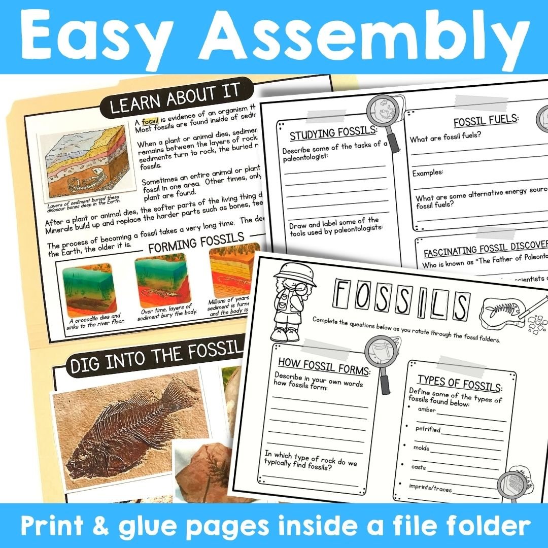Science File Folder Centers: Fossils (how fossils form, types of fossils, & studying fossils MORE)