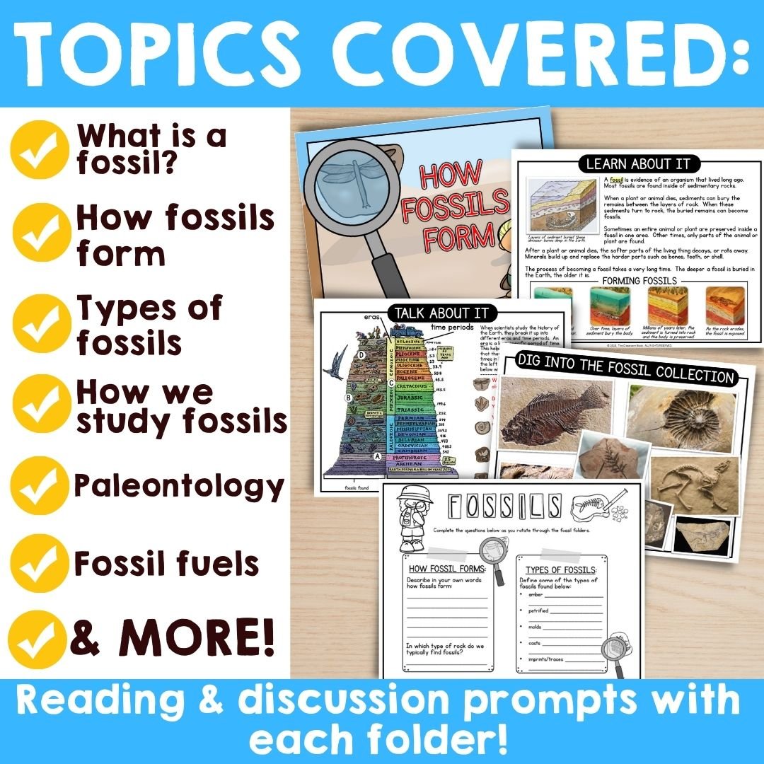 Science File Folder Centers: Fossils (how fossils form, types of fossils, & studying fossils MORE)