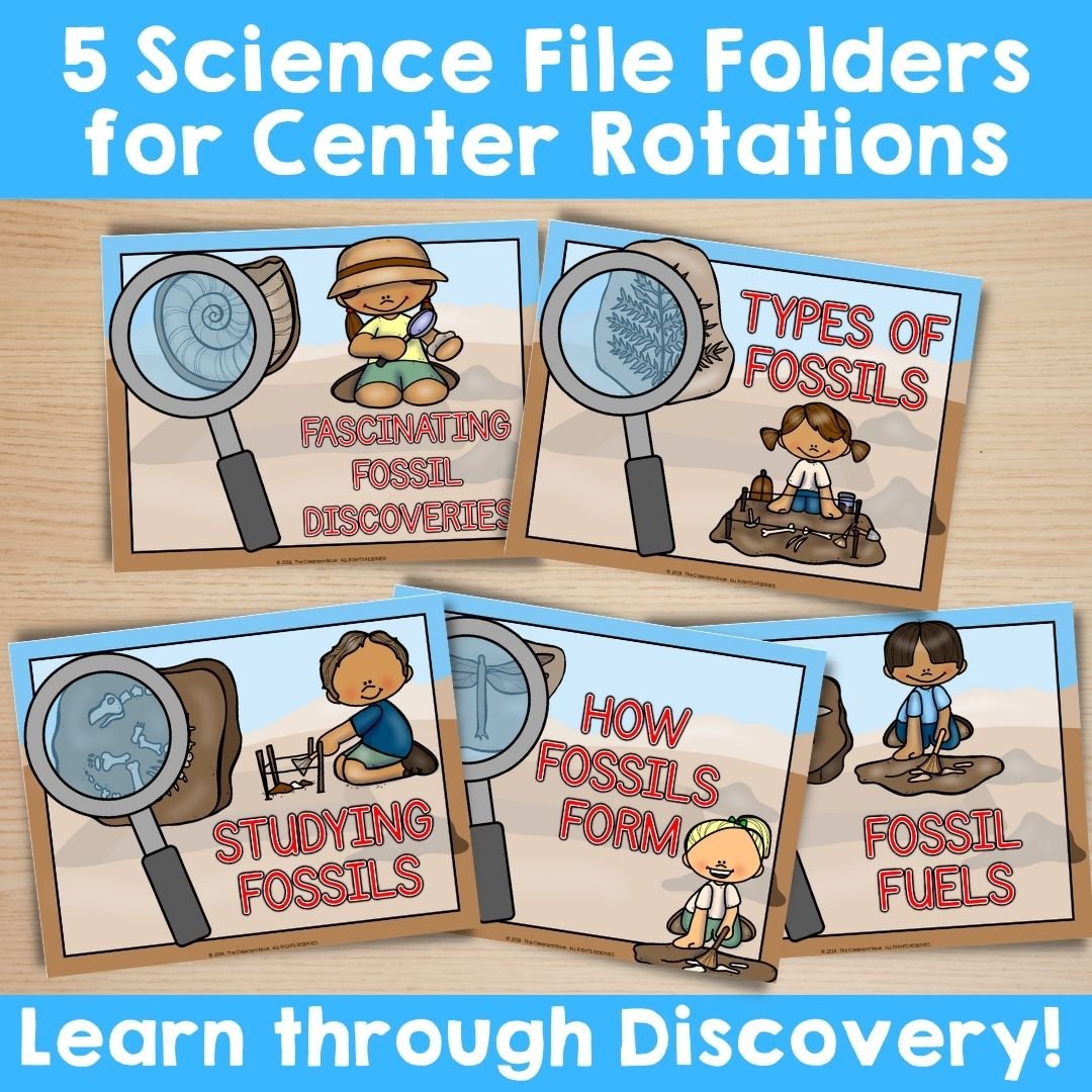 Science File Folder Centers: Fossils (how fossils form, types of fossils, & studying fossils MORE)