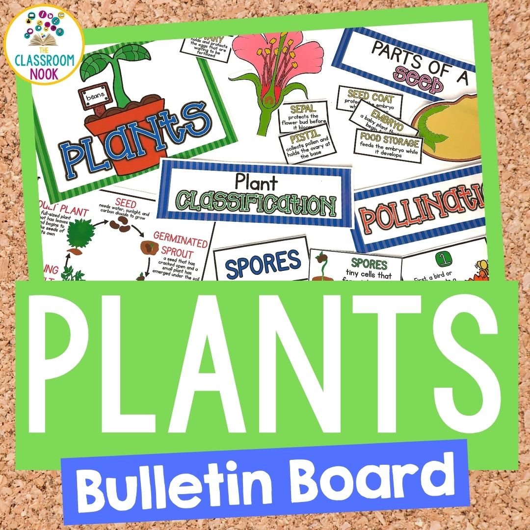 Plants Bulletin Board Set (Copy)