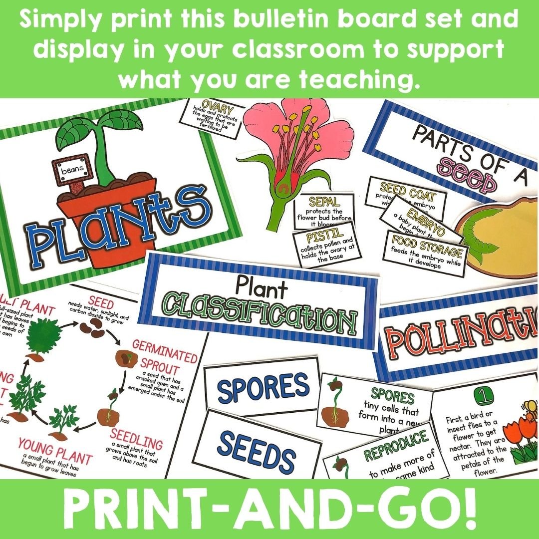 plants-bulletin-board-1.jpg