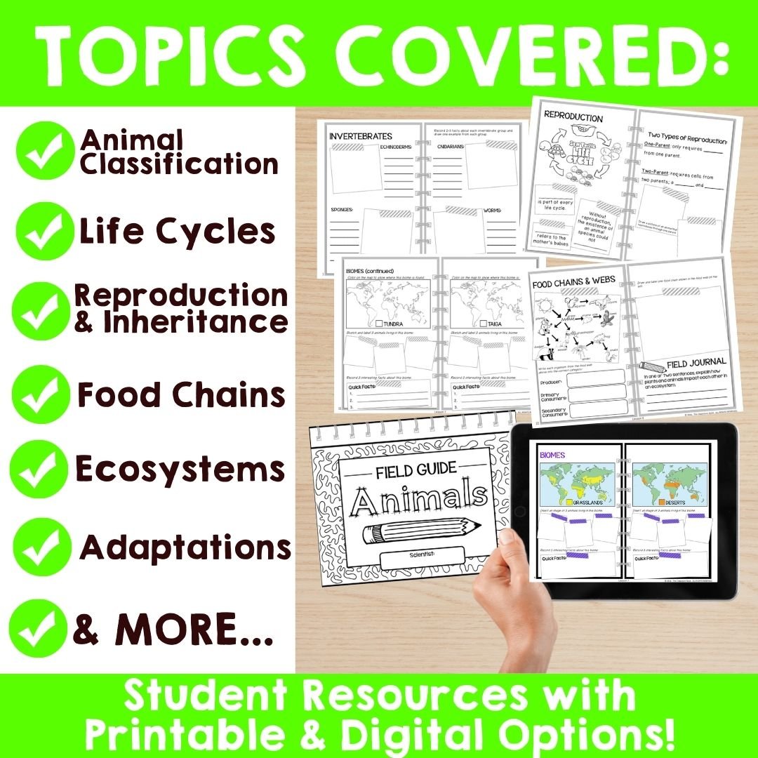 Animals: Classification, Life Cycles, Habitats, Food Chains, Adaptations & MORE!