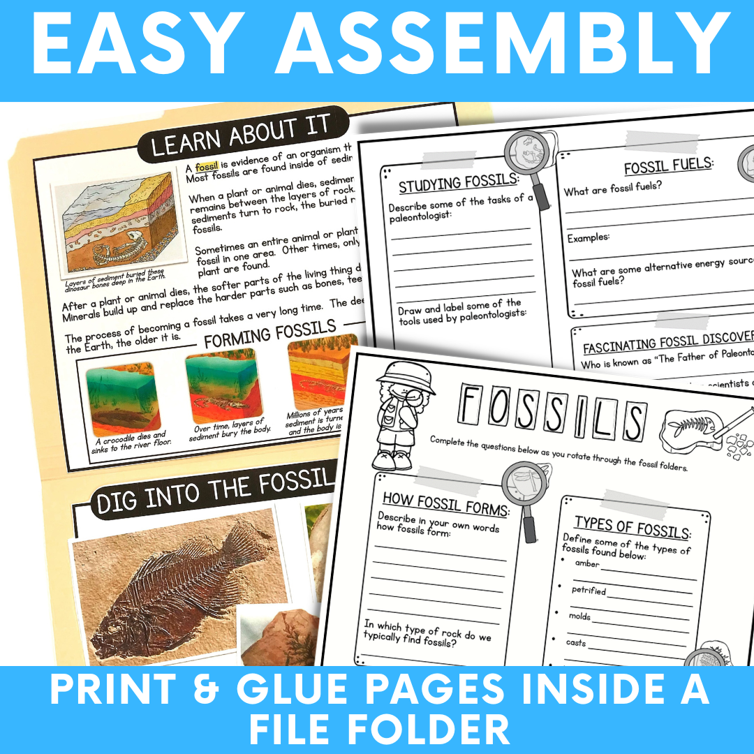 fossil-file-folder-centers-3.png
