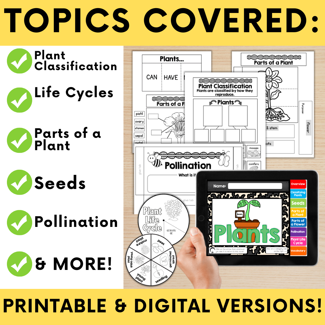 plants-interactive-notebook-3.png