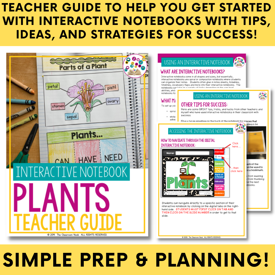 plants-interactive-notebook-2.png
