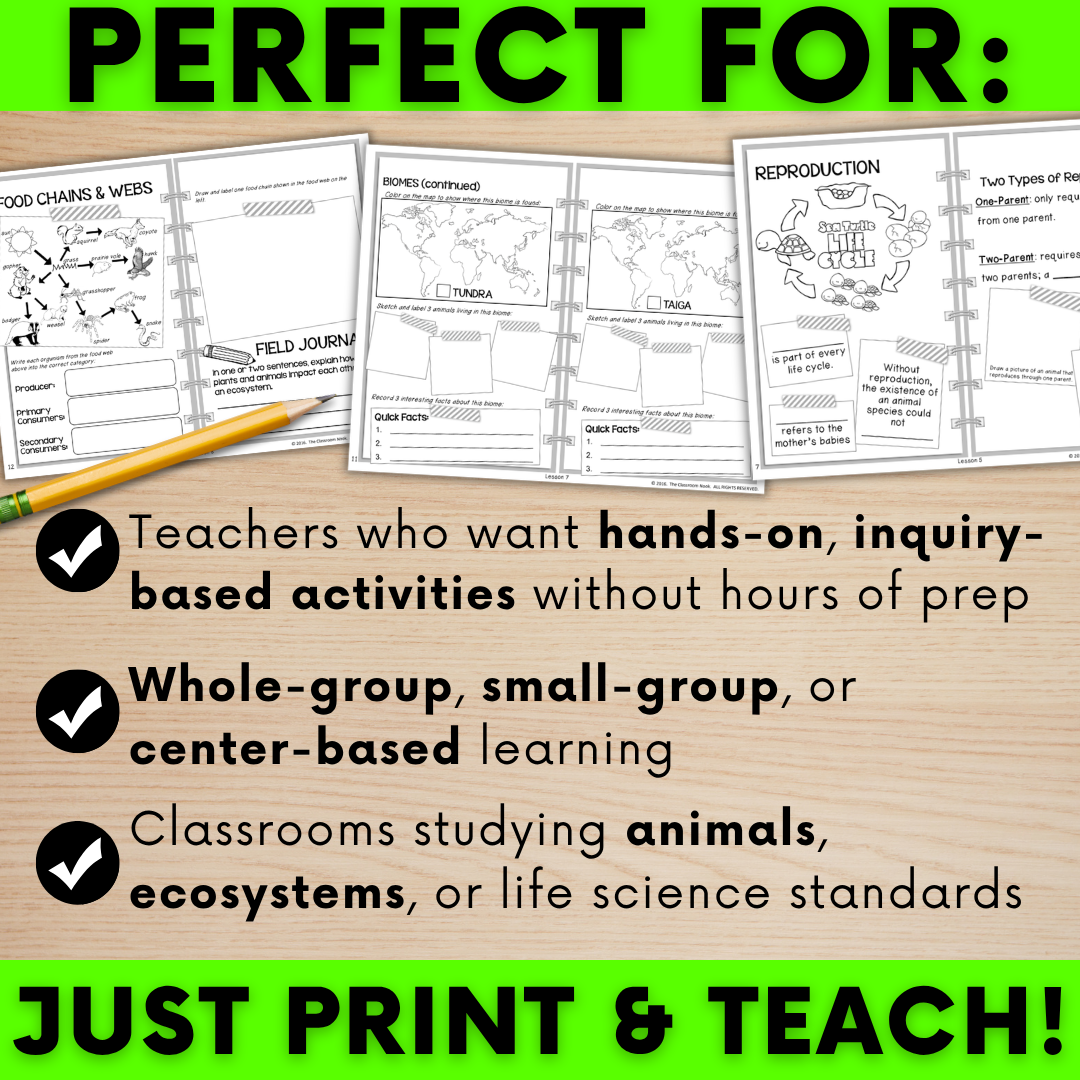 animal-classification-ecosystems-2.png