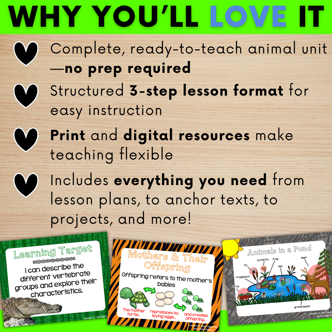 animal-classification-ecosystems-4.png
