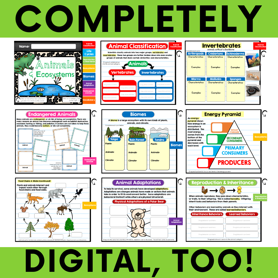 Animals-ecosystems-interactive-notebook-4.png