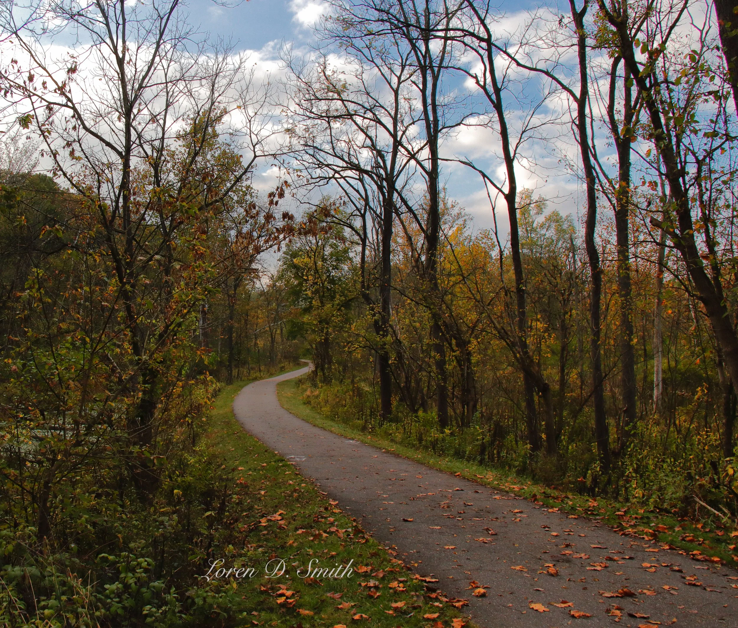 Autumn Station Rd00610-16-17.jpg