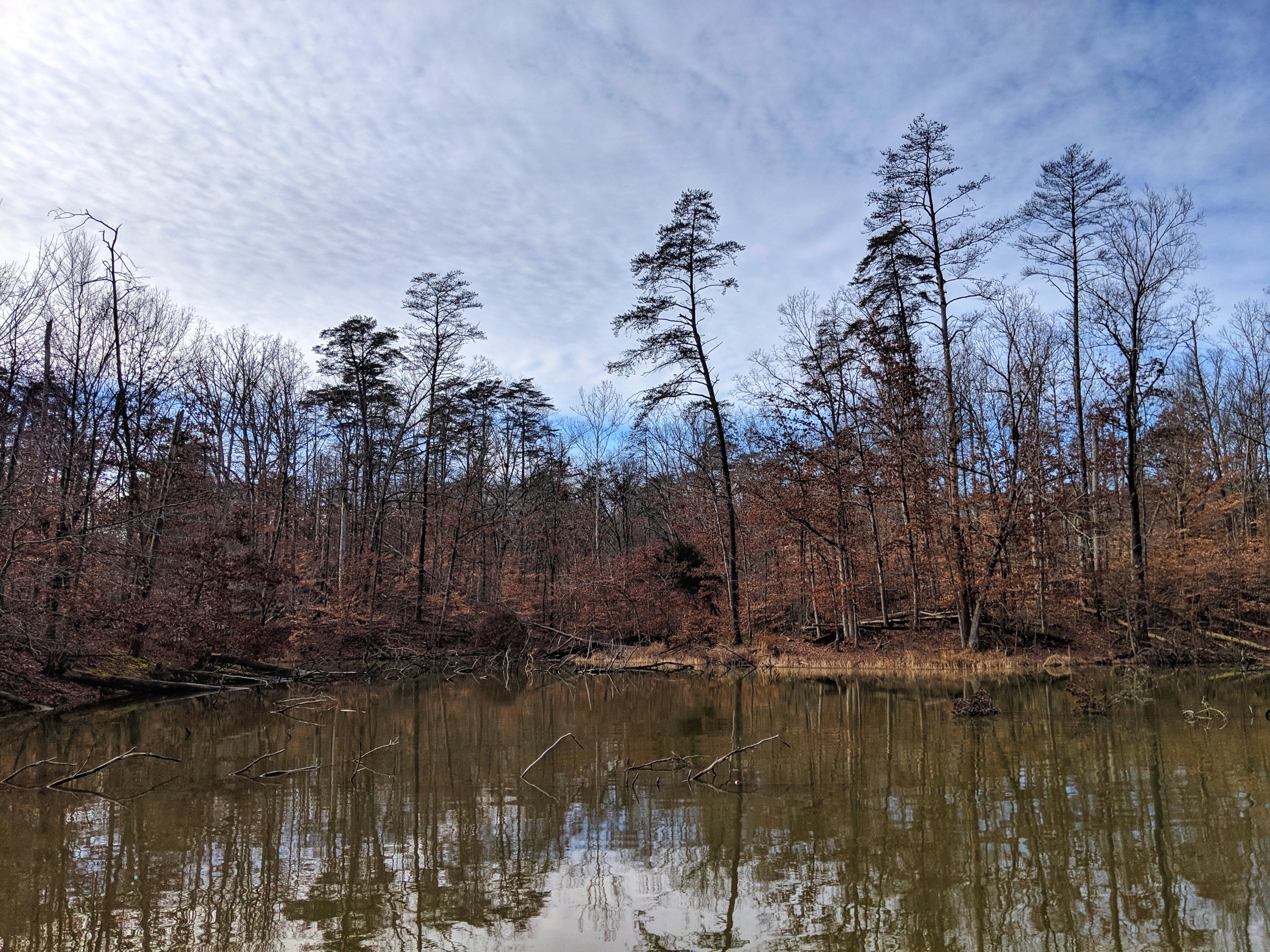 processed_IMG_20190106_132755-01.jpeg