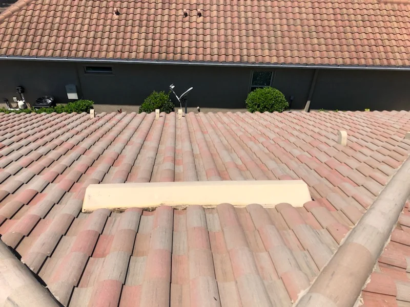 CLEANED 1.jpg