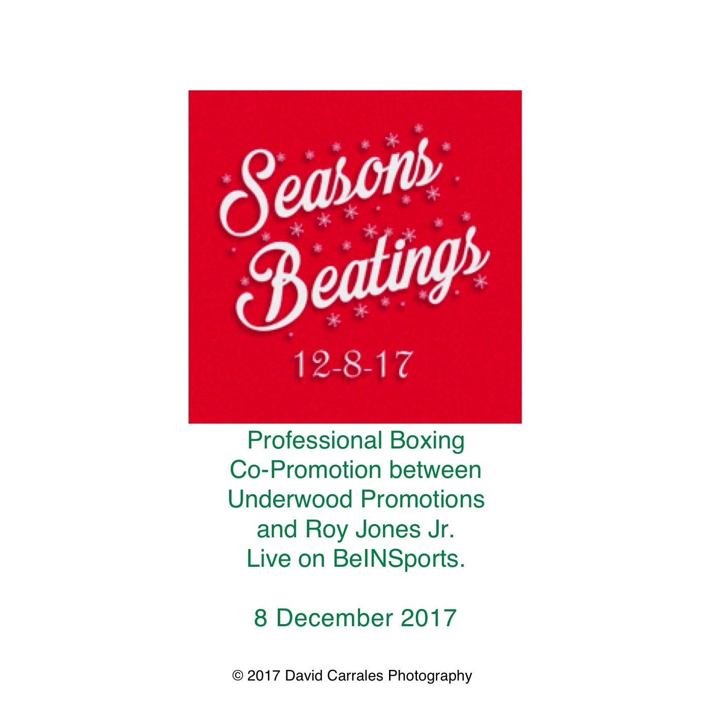 4 x 4 Seasons Beatings II.jpg