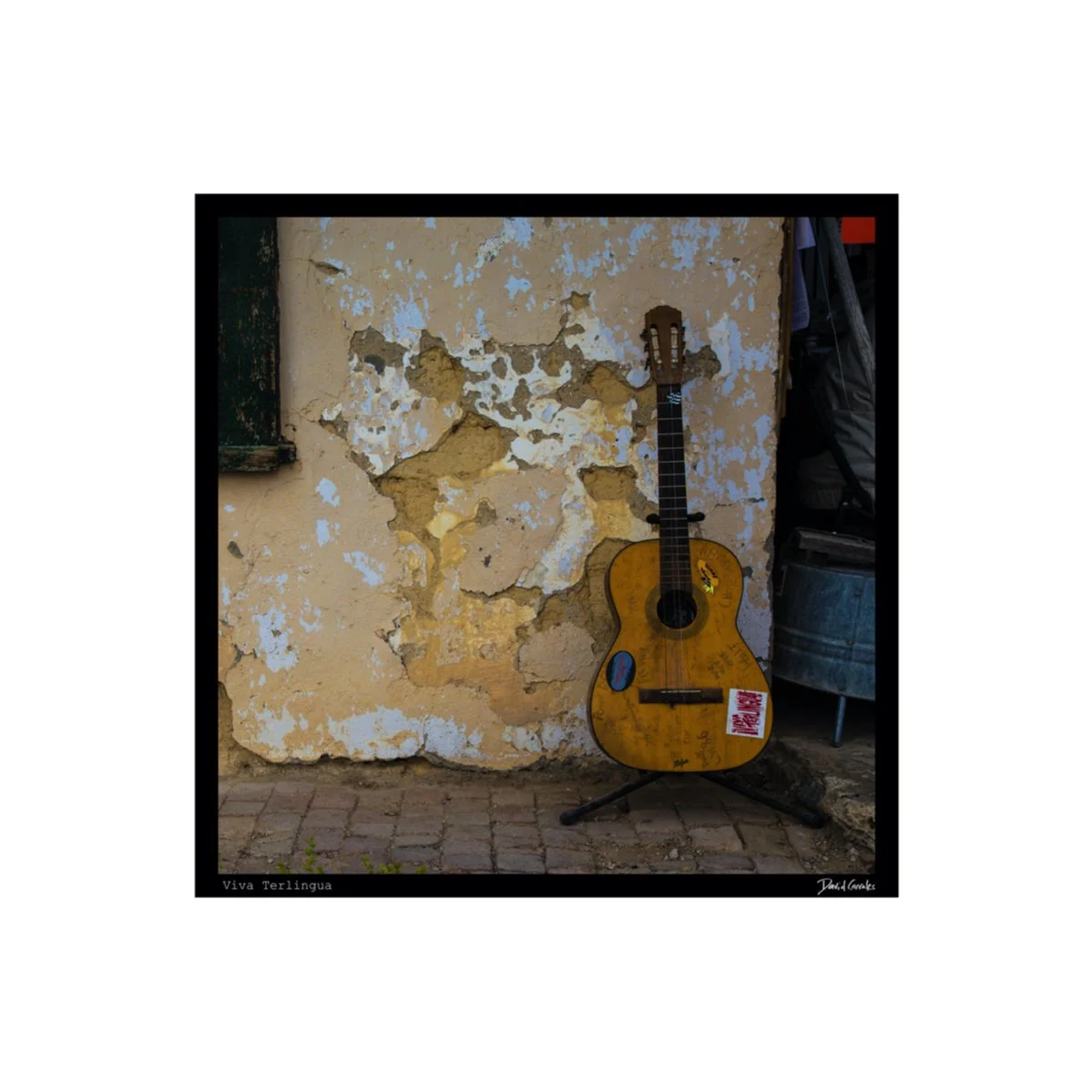 6 x 6 Viva Terlingua.jpeg