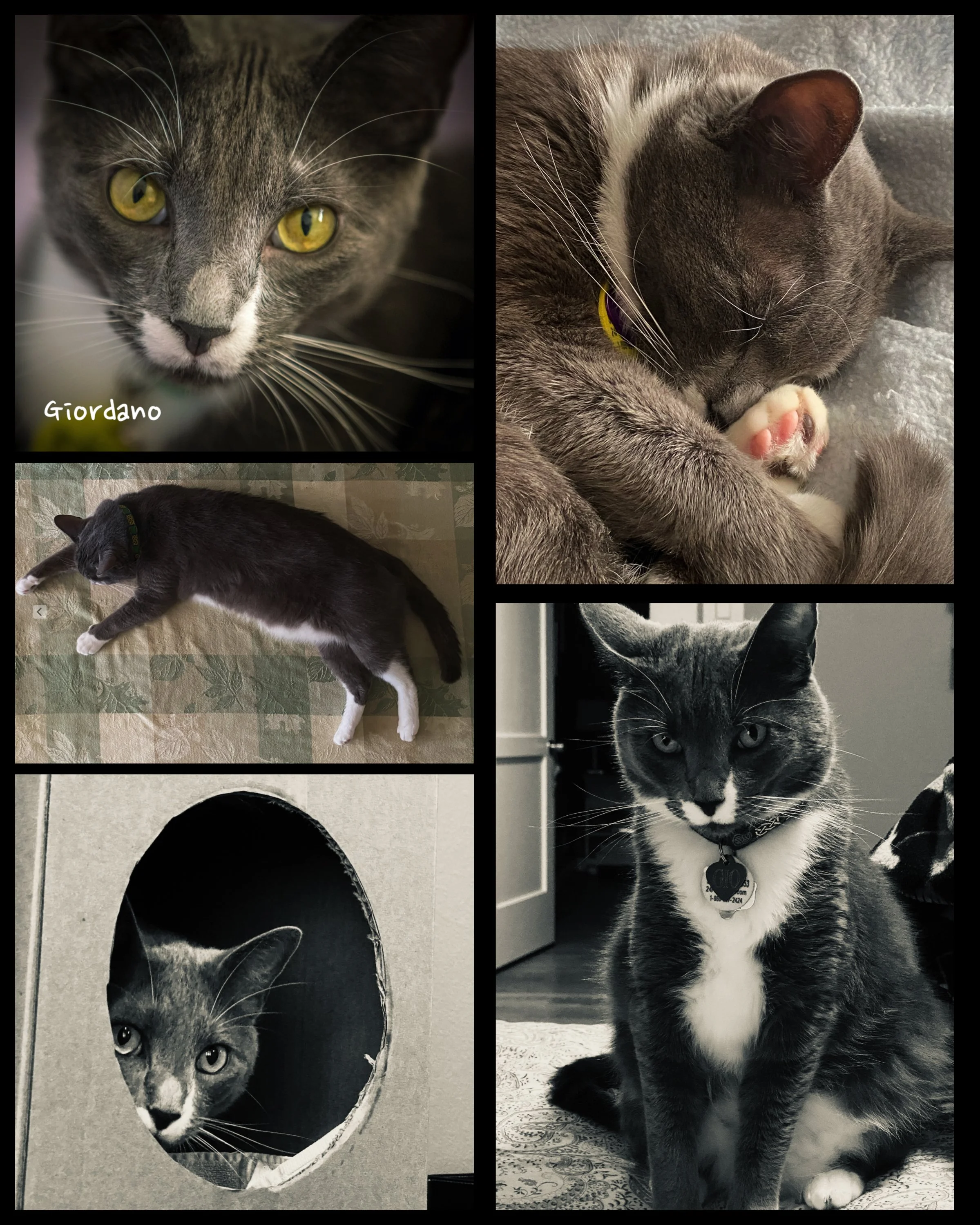 8 x 10 Giordano 01.jpeg