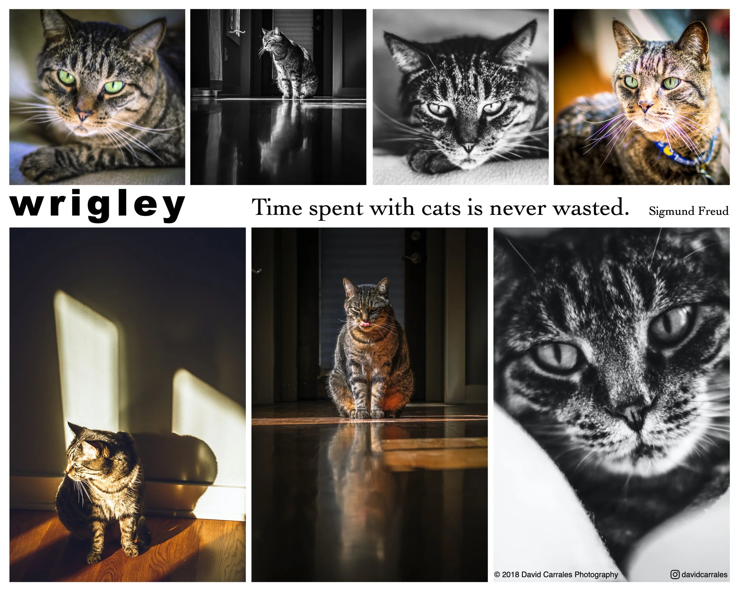 8 x 10 Wrigley 01.jpeg