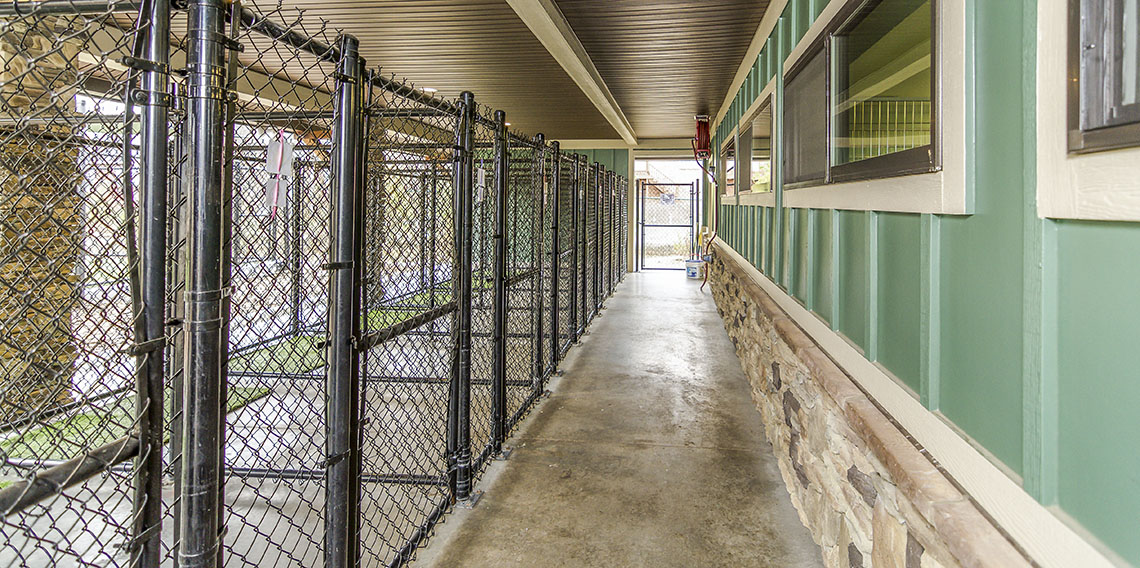 Creature Comforts Kennel