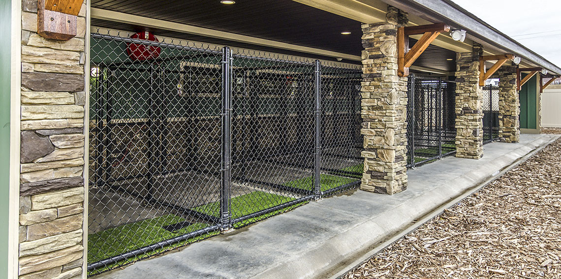 Creature Comforts Kennel