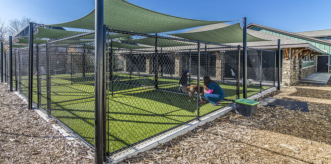 Creature Comforts Kennel
